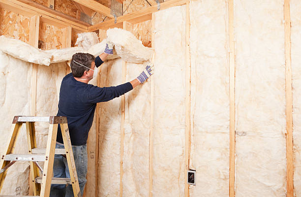 Best Commercial Insulation Services  in Parma Heights, OH